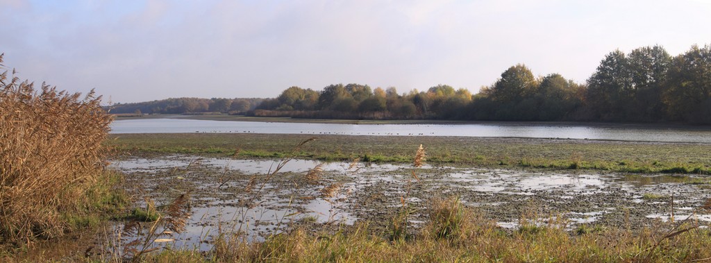 Etang de Beaumont