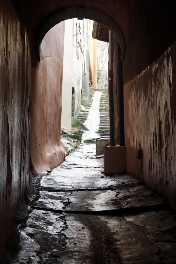 Ruelle punaise