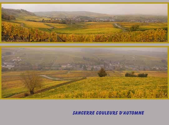 Sancerre