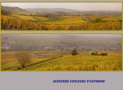Sancerre